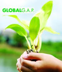 GLOBALGAP